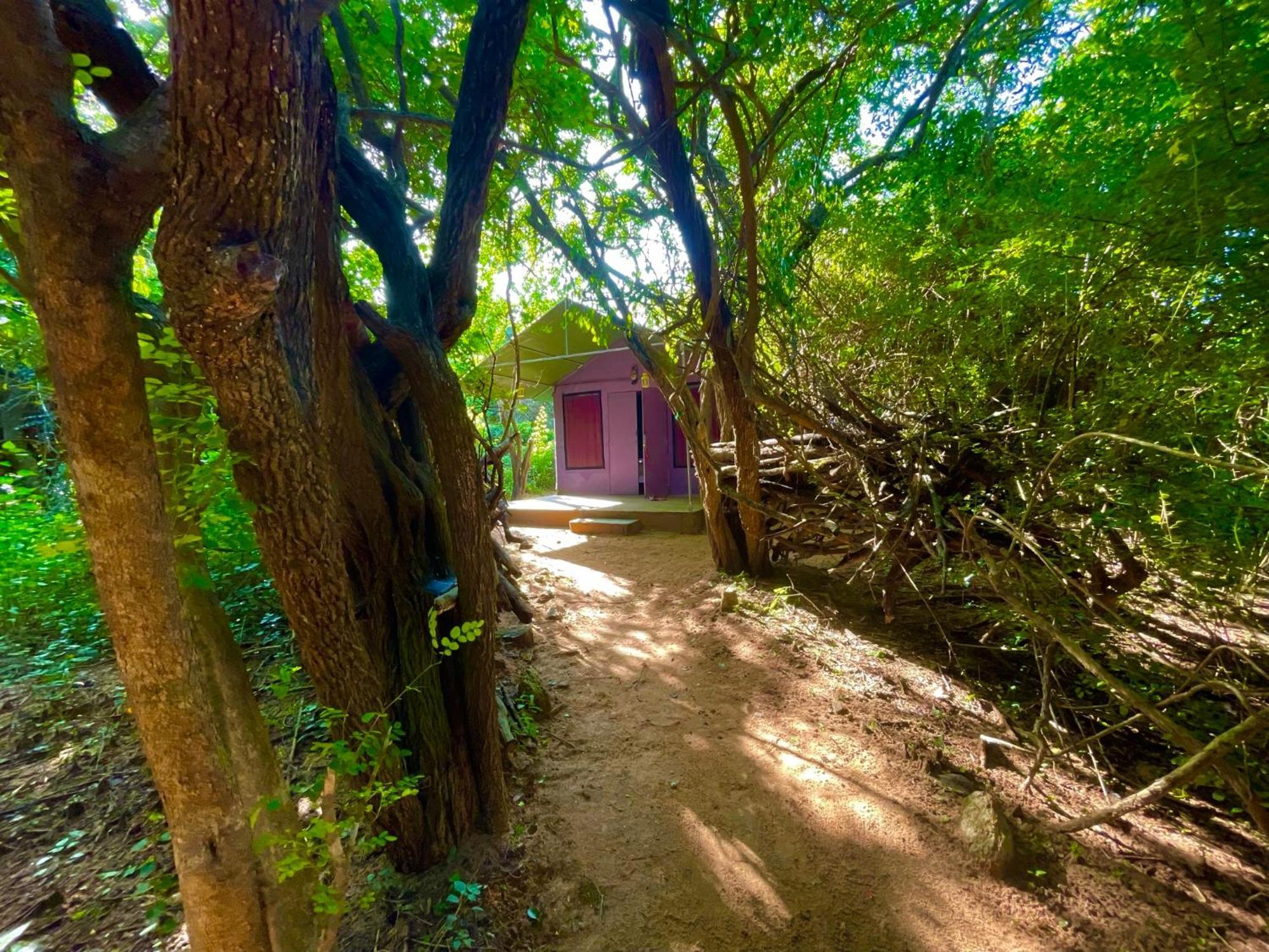Hotel Yala Podi Hoona Bush Camp Exterior foto