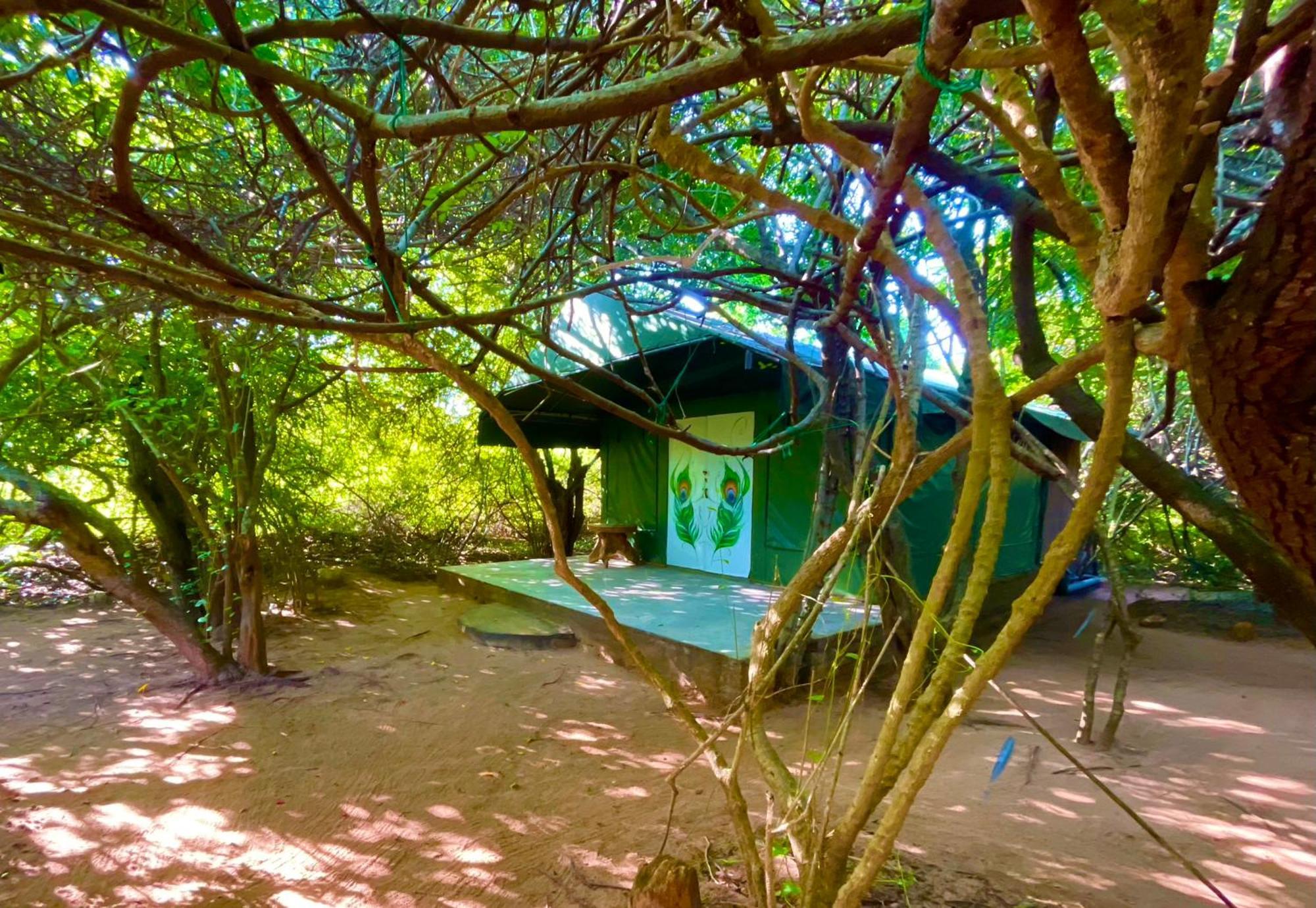 Hotel Yala Podi Hoona Bush Camp Exterior foto